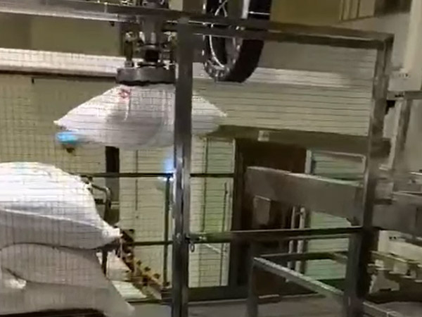 桁架机械臂拆包机